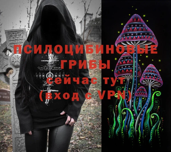 ALPHA PVP Белокуриха