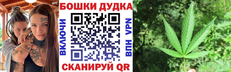 как найти закладки  Черноголовка  Бошки марихуана планчик 